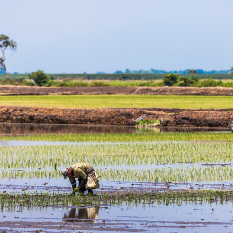 Libro fotográfico Ecuador en contrastes del autor Marco Garzón Fotografía